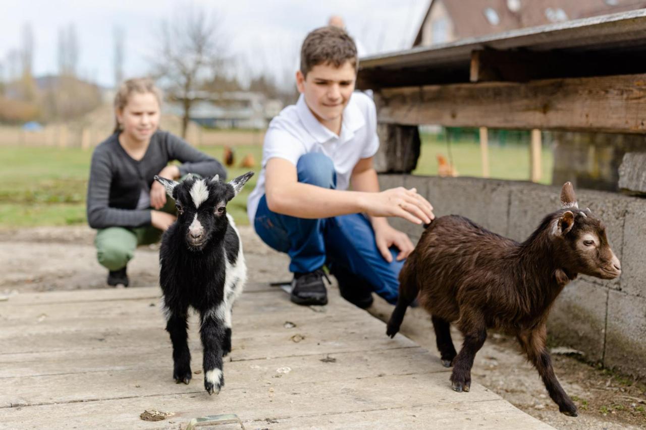 Gaestezimmer Das Hambammer Heimschuh Luaran gambar